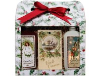 SK Darčeková sada Vianočná - jablko a škorica - sprchový gél 100 ml, šampón 100 ml, voňavá karta